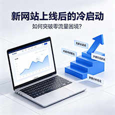 五指山建站-新网站上线后的冷启动：如何突破零流量困境？