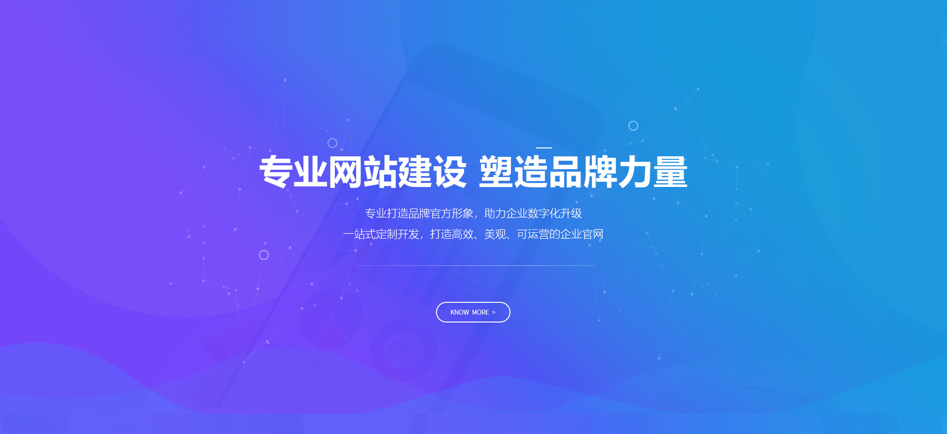 五指山建站-专业网站建设 塑造品牌力量