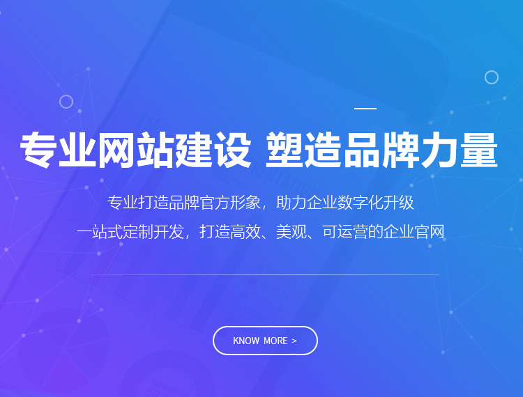 五指山建站-专业网站建设 塑造品牌力量